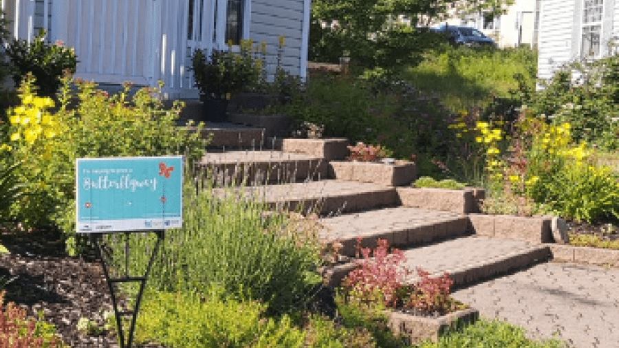 The steps of a building surrounded by a butterfly garden